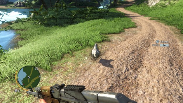 It's a chicken. Better follow it