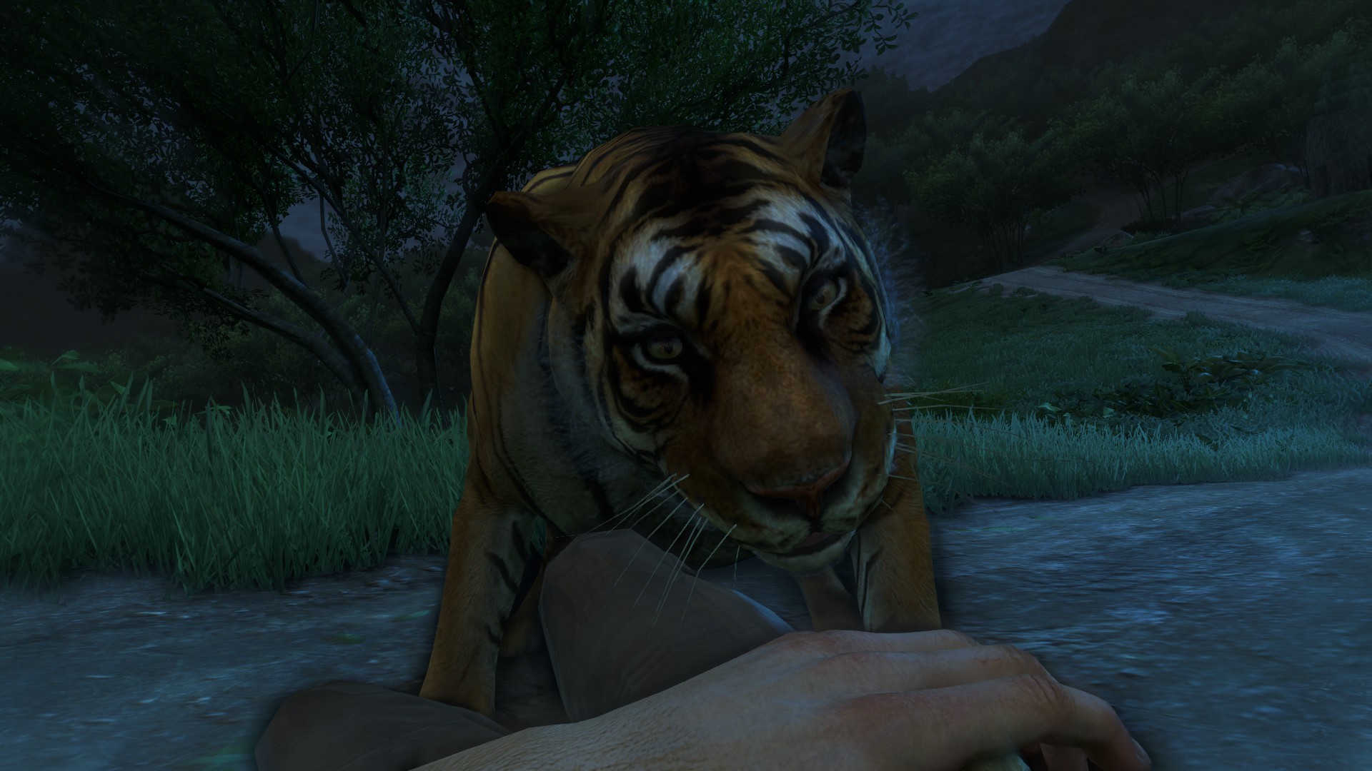 I'm sure he just wants to play